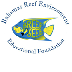 Bahamas Reef Environment Educational Foundation